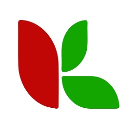 NSR Logo